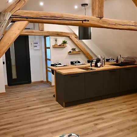 Superbe Loft Proche Troyes & Parking Facile Διαμέρισμα Arcis-sur-Aube
