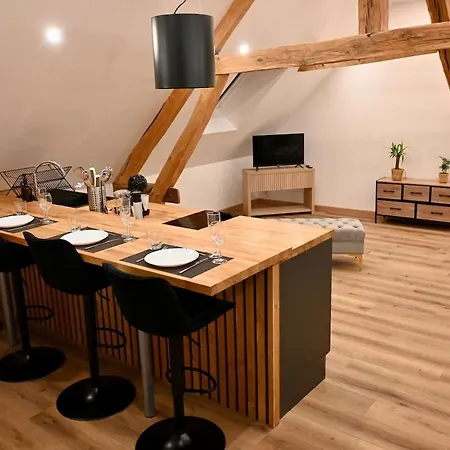 Superbe Loft Proche Troyes & Parking Facile Διαμέρισμα *